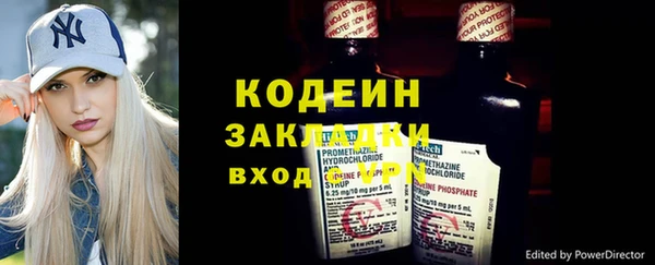 индика Майский