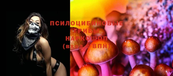 тгк Пенза