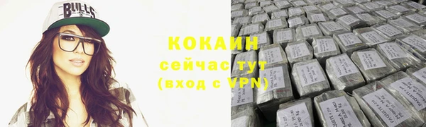 индика Майский