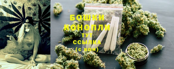 тгк Няндома
