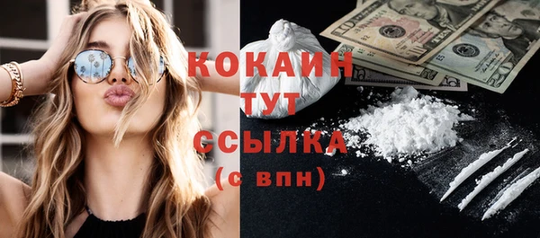 тгк Няндома