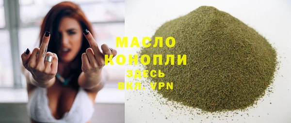 индика Майский