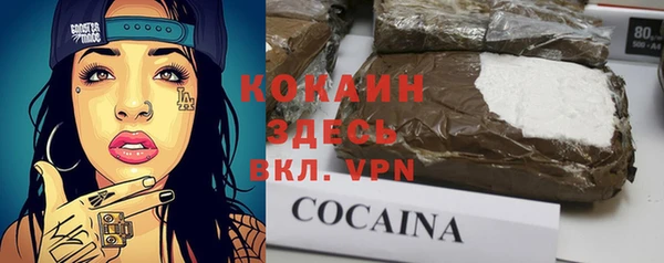 тгк Няндома