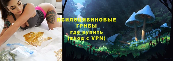 индика Майский
