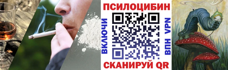 Галлюциногенные грибы MAGIC MUSHROOMS  купить наркотики цена  Дербент 
