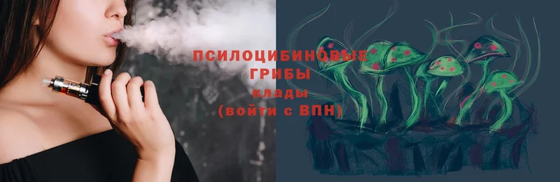 Псилоцибиновые грибы Cubensis ОМГ ОМГ ссылка Дербент