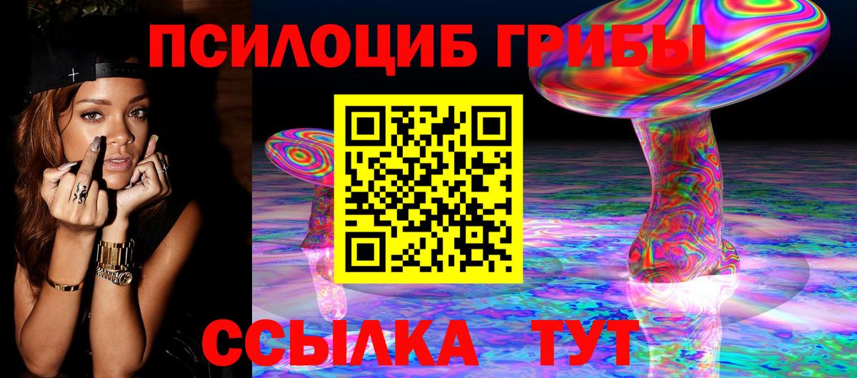 Галлюциногенные грибы Psilocybine cubensis Дербент