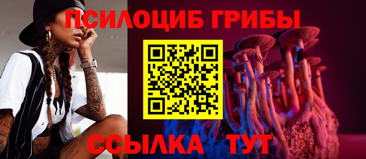 Галлюциногенные грибы GOLDEN TEACHER  Дербент 