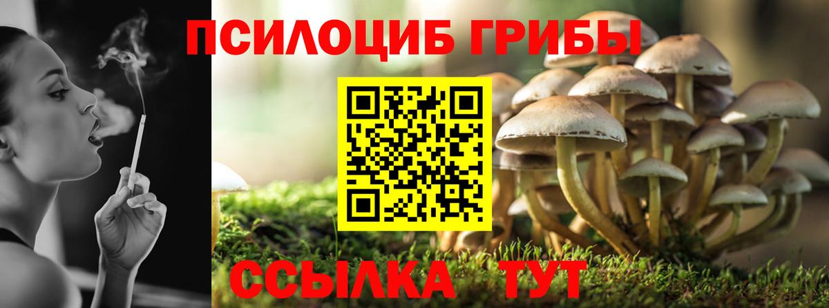 сколько стоит  Псилоцибиновые грибы Psilocybe  Вход с VPN  Дербент 
