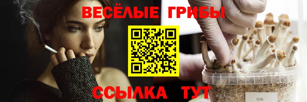 Cocaine Дербент