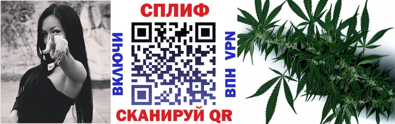 Конопля OG Kush  Дербент 